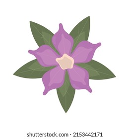 Violet Flower Icon Isolated Vector