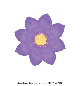 violet flower icon over white background, detailed style, vector illustration