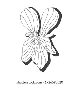 
Flor violeta aislada en un fondo blanco. Ilustración vectorial. Etiqueta de flor violeta. Se puede utilizar como elemento de un arreglo floral.