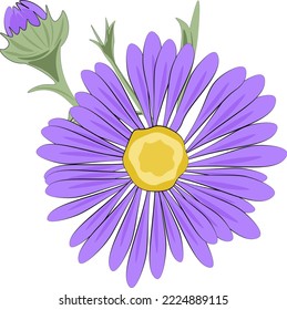 violet flower isolated on white background