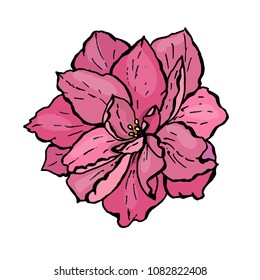 Violet flower isolated. Vector illustration.