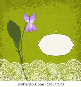 violet flower and lace, vector illustration, eps10