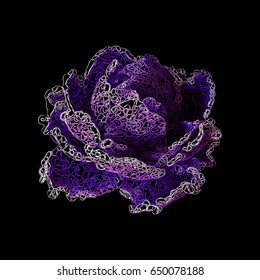 Violet flower. Lacy. Vector illustration.