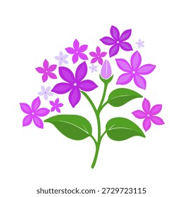 Flor violeta sobre un fondo blanco. Dibujado a mano. IA no, Ilustración vectorial.