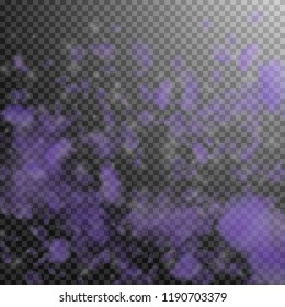 Violet flower petals falling down. Indelible romantic flowers gradient. Flying petal on transparent square background. Love, romance concept. Breathtaking wedding invitation.