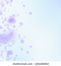 Violet flower petals falling down. Bizarre romantic flowers gradient. Flying petal on blue sky square background. Love, romance concept. Captivating wedding invitation.