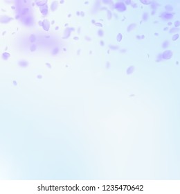 Violet flower petals falling down. Exotic romantic flowers gradient. Flying petal on blue sky square background. Love, romance concept. Cool wedding invitation.