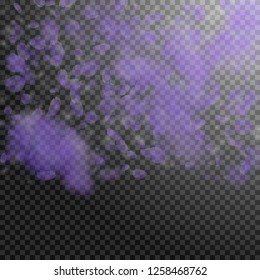 Violet flower petals falling down. Popular romantic flowers gradient. Flying petal on transparent square background. Love, romance concept. Charming wedding invitation.