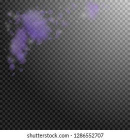Violet flower petals falling down. Fascinating romantic flowers corner. Flying petal on transparent square background. Love, romance concept. Amusing wedding invitation.