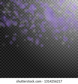 Violet flower petals falling down. Awesome romantic flowers gradient. Flying petal on transparent square background. Love, romance concept. Bold wedding invitation.