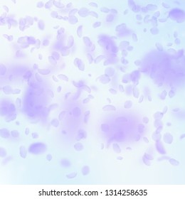 Violet flower petals falling down. Fabulous romantic flowers gradient. Flying petal on blue sky square background. Love, romance concept. Bold wedding invitation.
