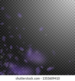 Violet flower petals falling down. Awesome romantic flowers corner. Flying petal on transparent square background. Love, romance concept. Amazing wedding invitation.