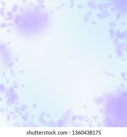 Violet flower petals falling down. Modern romantic flowers vignette. Flying petal on blue sky square background. Love, romance concept. Creative wedding invitation.