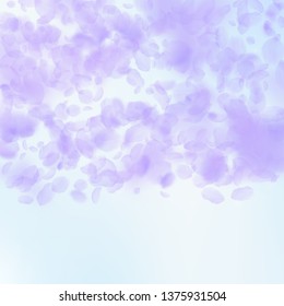 Violet flower petals falling down. Lovely romantic flowers gradient. Flying petal on blue sky square background. Love, romance concept. Charming wedding invitation.