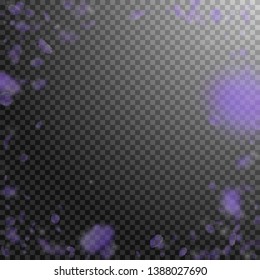 Violet flower petals falling down. Worthy romantic flowers vignette. Flying petal on transparent square background. Love, romance concept. Dazzling wedding invitation.