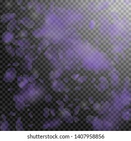Violet flower petals falling down. Cute romantic flowers falling rain. Flying petal on transparent square background. Love, romance concept. Bewitching wedding invitation.
