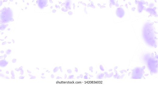 Violet flower petals falling down. Amusing romantic flowers frame. Flying petal on white wide background. Love, romance concept. Divine wedding invitation.
