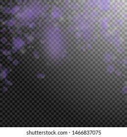 Violet flower petals falling down. Pretty romantic flowers falling rain. Flying petal on transparent square background. Love, romance concept. Awesome wedding invitation.