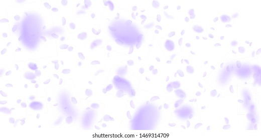 Violet flower petals falling down. Powerful romantic flowers falling rain. Flying petal on white wide background. Love, romance concept. Delightful wedding invitation.