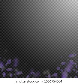Violet flower petals falling down. Symmetrical romantic flowers gradient. Flying petal on transparent square background. Love, romance concept. Classic wedding invitation.