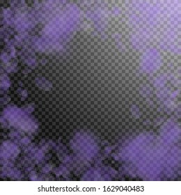 Violet flower petals falling down. Bewitching romantic flowers vignette. Flying petal on transparent square background. Love, romance concept. Dazzling wedding invitation.