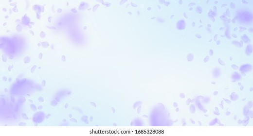 Violet flower petals falling down. Mesmeric romantic flowers vignette. Flying petal on blue sky wide background. Love, romance concept. Dramatic wedding invitation.