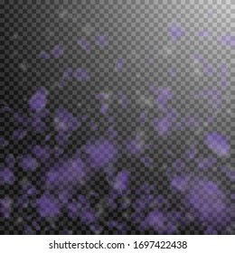 Violet flower petals falling down. Exceptional romantic flowers gradient. Flying petal on transparent square background. Love, romance concept. Comely wedding invitation.