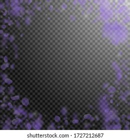 Violet flower petals falling down. Authentic romantic flowers vignette. Flying petal on transparent square background. Love, romance concept. Curious wedding invitation.