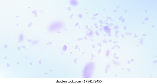 Pétalos de flores violetas cayendo. Explosión de flores románticas reales. Petal volador sobre fondo azul cielo. Amor, concepto romántico. Delicada invitación a la boda.