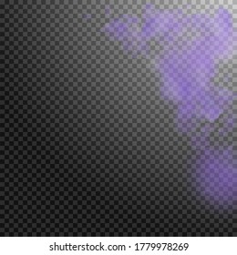 Violet flower petals falling down. Bold romantic flowers corner. Flying petal on transparent square background. Love, romance concept. Appealing wedding invitation.