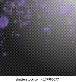 Violet flower petals falling down. Amusing romantic flowers falling rain. Flying petal on transparent square background. Love, romance concept. Awesome wedding invitation.