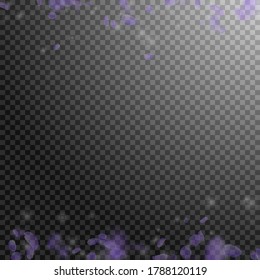 Violet flower petals falling down. Divine romantic flowers borders. Flying petal on transparent square background. Love, romance concept. Actual wedding invitation.