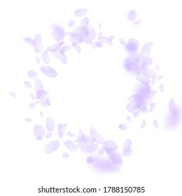 Violette Blütenblätter fallen ab. Fancy romantische Blumen Vignette. Fliegendes Blütenblatt auf weißem, quadratischem Hintergrund. Liebe, Liebeskonzept. Neugierige Hochzeitseinladung.