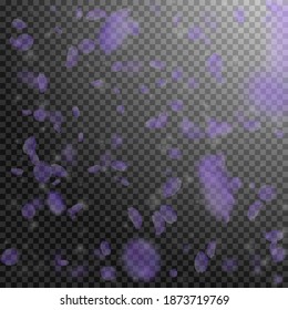 Violet flower petals falling down. Extraordinary romantic flowers falling rain. Flying petal on transparent square background. Love, romance concept. Bewitching wedding invitation.