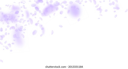 Violette Blütenblätter fallen ab. Herrliche romantische Blumen fallen Regen. Fliegendes Blütenblatt auf weißem, breitem Hintergrund. Liebe, Liebeskonzept. Wunderbare Hochzeitseinladung.