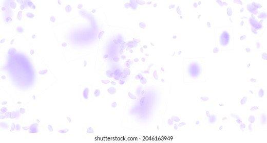 Violet Flower Petals Falling Down. Lovely Romantic Flowers Explosion. Flying Petal On White Wide Background. Love, Romance Concept. Decent Wedding Invitation.