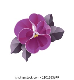 Violet Flower Vector Watercolor Illustration