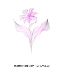 Violet flower with white background