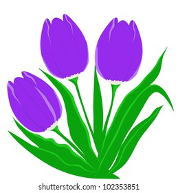violet flowers