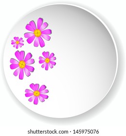 violet flowers