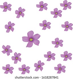 Violet flowers background or pattern. Flower set Yellow, white, lilac, pink or violet flowers. Digital paper with spring design. EPS 8 vector