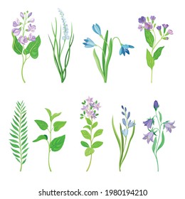 Violet Flowers or Blossom on Leafy Stalk or Stem Vector Set