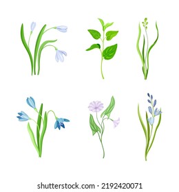 Flores violetas o flores en el conjunto de vectores de leafy o Stem