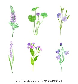 Violet Flowers Or Blossom On Leafy Stalk Or Stem Vector Set