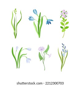 Violet Flowers or Blossom on Leafy Stalk or Stem Vector Set
