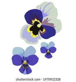 Violet flowers blue colors, vector elements for different decor