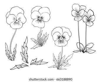 Violet flowers. Set of outline flowers.