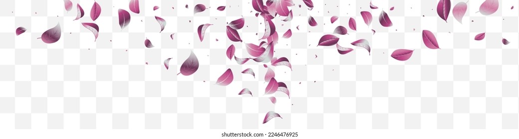 Violet Foliage Fly Vector White Transparent Panoramic Background Banner. Flying Leaf Branch. Forest Solar Motion Poster. Leaves Forest Wallpaper.