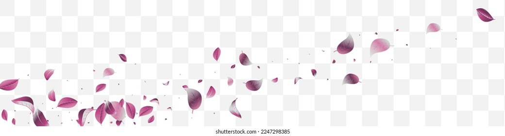 Violet Foliage Fly Vector White Transparent Panoramic Background Poster. Spring Leaves Branch. Lilac Solar Tea Plant. Leaf Ecology Brochure.