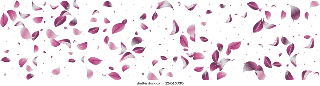 Violet Foliage Spring Vector White Panoramic Background Brochure. Transparent Leaves Illustration. Lilac Solar Ecology Wallpaper. Leaf Organic Pattern.